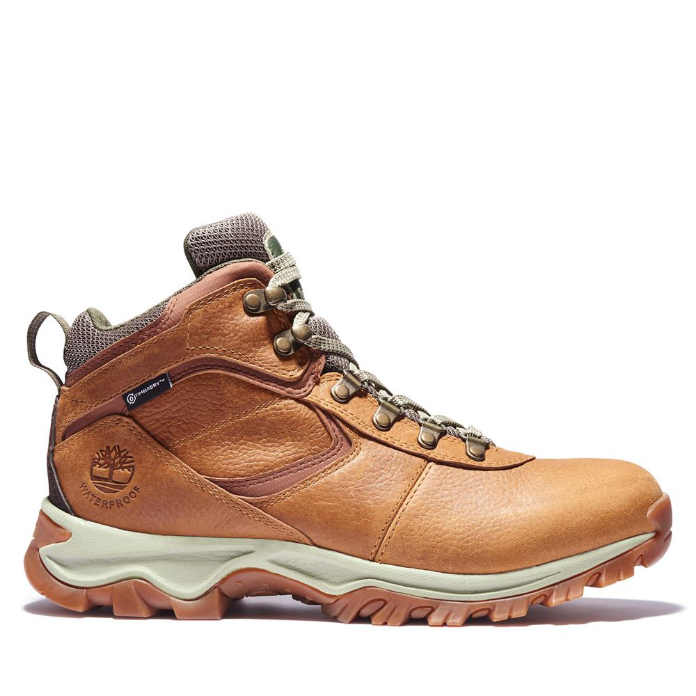 Bocanci De Drumeție Timberland Barbati Maro - Mt. Maddsen Mid Waterproof - Romania - NZLXQS051